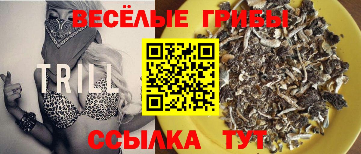 Заволжье  Псилоцибиновые грибы MAGIC MUSHROOMS  Вход с VPN  Галлюциногенные грибы ЛСД 