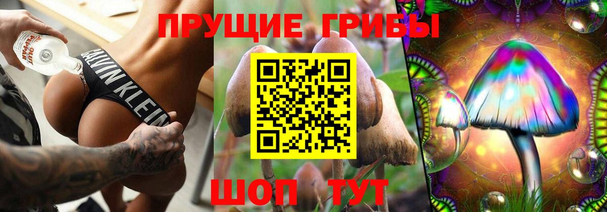 Галлюциногенные грибы ЛСД Заволжье