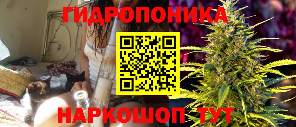 Бошки марихуана AK-47  Вход с VPN  Бошки марихуана OG Kush  Заволжье  Бошки марихуана гибрид 